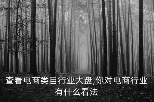 查看电商类目行业大盘,你对电商行业有什么看法