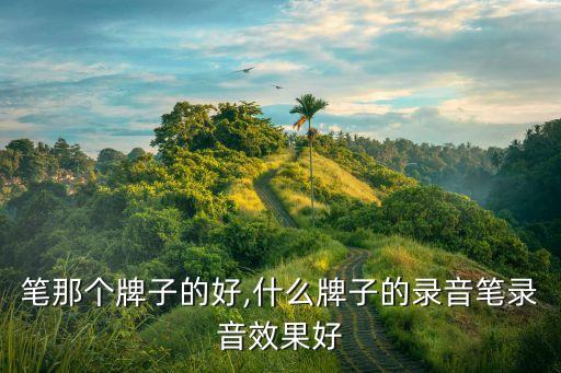 录音笔那个牌子的好,什么牌子的录音笔录音效果好?