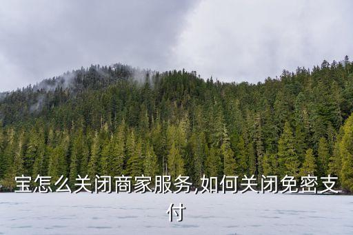 支付宝怎么关闭商家服务,如何关闭免密支付?