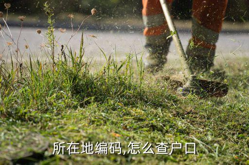 所在地编码,怎么查户口