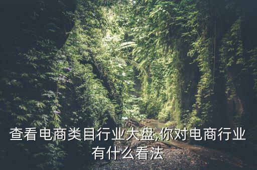 查看电商类目行业大盘,你对电商行业有什么看法