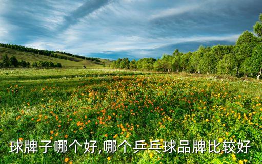兵乓球牌子哪个好,哪个乒乓球品牌比较好?