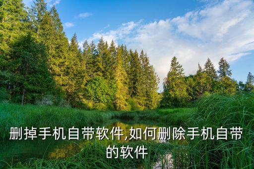 怎么删掉手机自带软件,如何删除手机自带的软件?