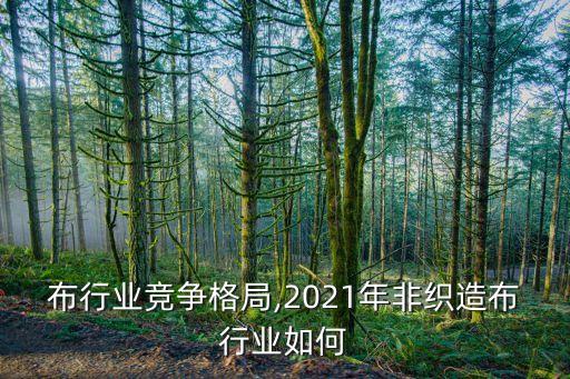 布行业竞争格局,2021年非织造布行业如何