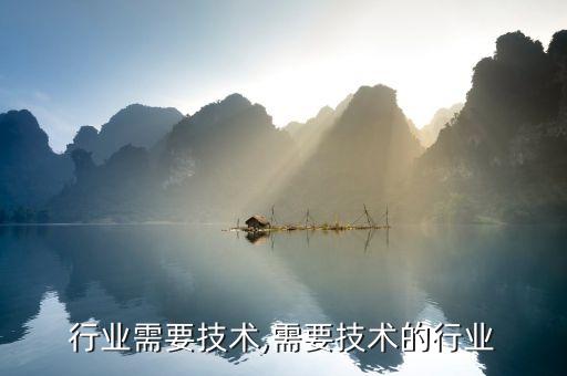 行业需要技术,需要技术的行业