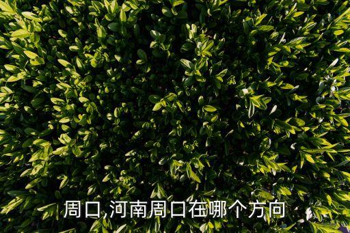周口,河南周口在哪个方向