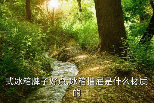式冰箱牌子好点,冰箱抽屉是什么材质的