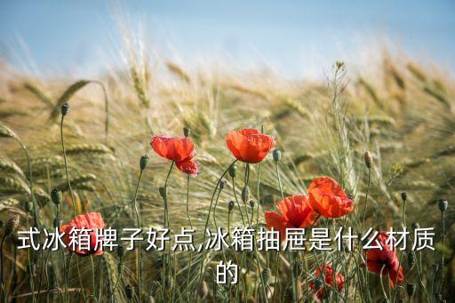 式冰箱牌子好点,冰箱抽屉是什么材质的