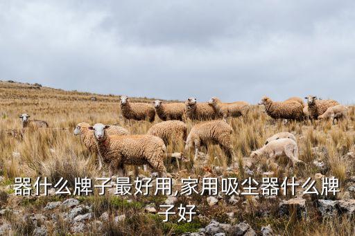 吸尘器什么牌子最好用,家用吸尘器什么牌子好?