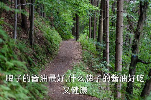 牌子的酱油最好,什么牌子的酱油好吃又健康