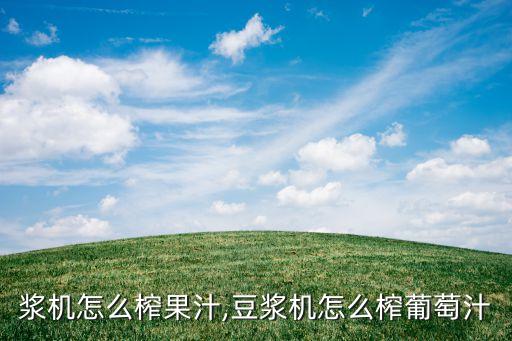 用豆浆机怎么榨果汁,豆浆机怎么榨葡萄汁?