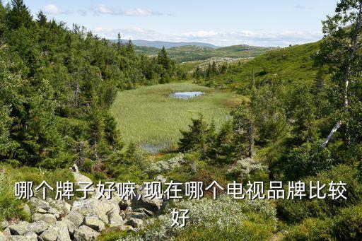 哪个牌子好嘛,现在哪个电视品牌比较好