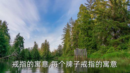 牌子戒指的寓意,每个牌子戒指的寓意