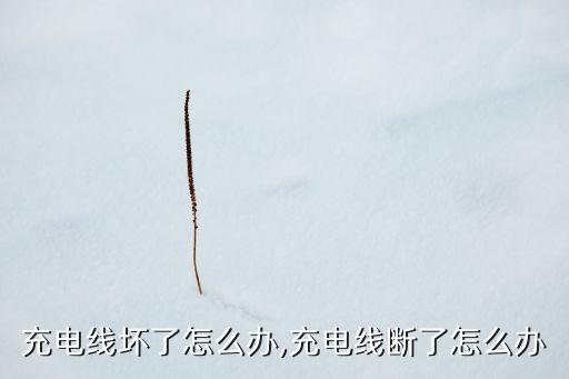 手机充电线坏了怎么办,充电线断了怎么办?
