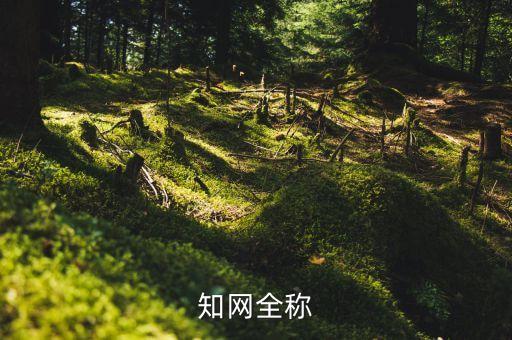 知网全称