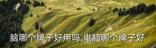 脑哪个牌子好用吗,电脑哪个牌子好