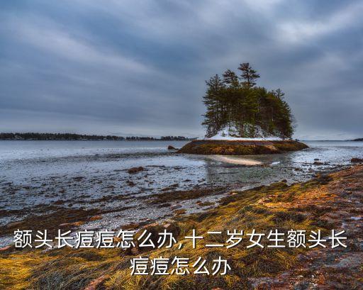 额头长痘痘怎么办,十二岁女生额头长痘痘怎么办