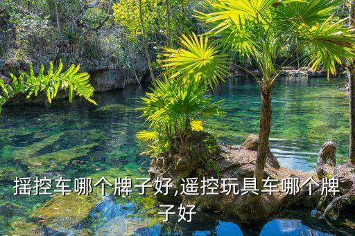 揺控车哪个牌子好,遥控玩具车哪个牌子好