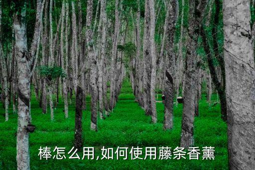 香薰棒怎么用,如何使用藤条香薰?