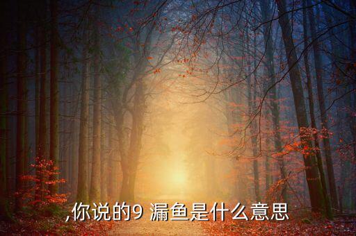 漏鱼,你说的9 漏鱼是什么意思?