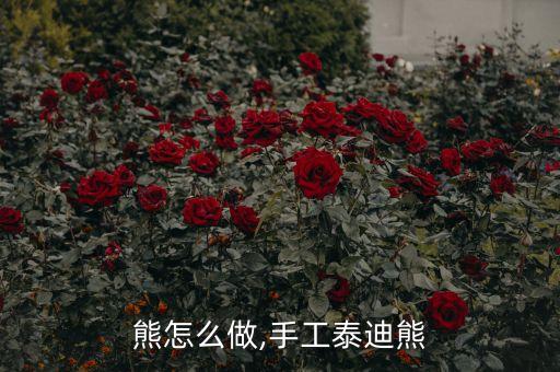 泰迪熊怎么做,手工泰迪熊