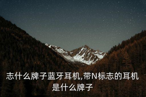 志什么牌子蓝牙耳机,带N标志的耳机是什么牌子