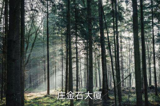 石家庄金石大厦