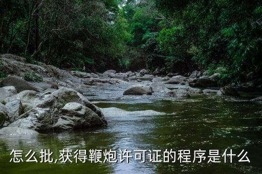 鞭炮怎么批,获得鞭炮许可证的程序是什么?