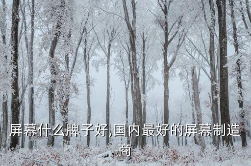 国产屏幕什么牌子好,国内最好的屏幕制造商