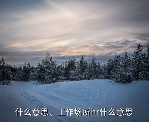 什么意思、工作场所hr什么意思