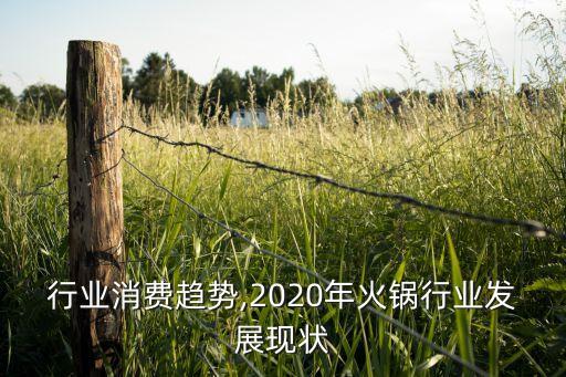 火锅行业消费趋势,2020年火锅行业发展现状