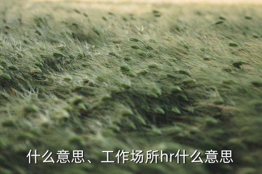 什么意思、工作场所hr什么意思