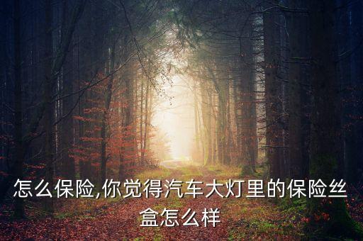 大灯怎么保险,你觉得汽车大灯里的保险丝盒怎么样?
