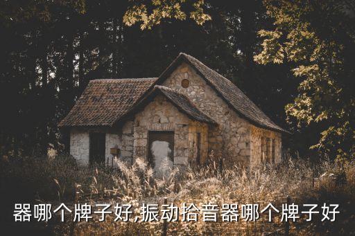 拾音器哪个牌子好,振动拾音器哪个牌子好