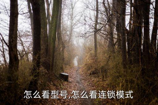 怎么看型号,怎么看连锁模式