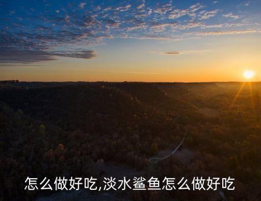 鲨鱼怎么做好吃,淡水鲨鱼怎么做好吃
