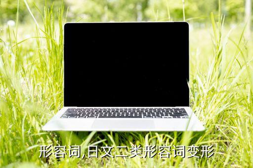形容词,日文二类形容词变形