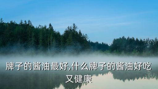 牌子的酱油最好,什么牌子的酱油好吃又健康