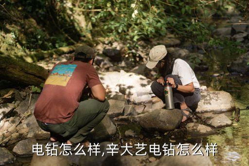 大艺电钻怎么样,辛大艺电钻怎么样