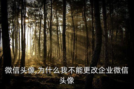 企业微信头像,为什么我不能更改企业微信头像?