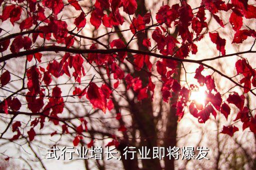 式行业增长,行业即将爆发