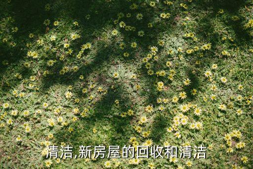 清洁,新房屋的回收和清洁