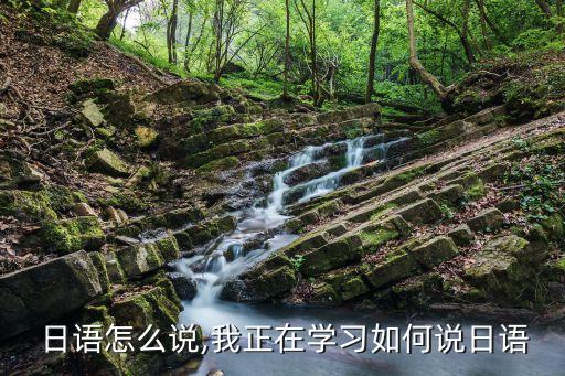  日语怎么说,我正在学习如何说日语