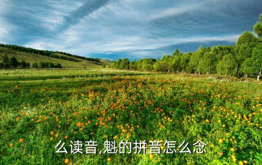 么读音,魁的拼音怎么念