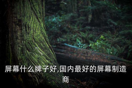 屏幕什么牌子好,国内最好的屏幕制造商