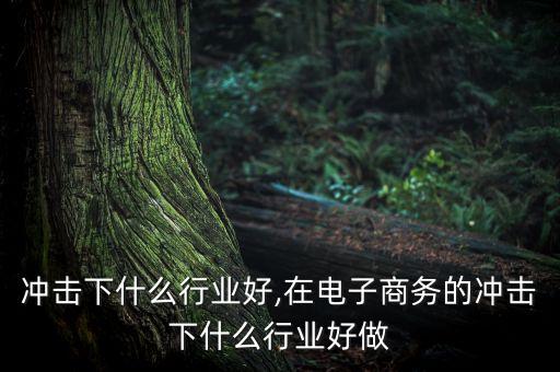 电商冲击下什么行业好,在电子商务的冲击下什么行业好做