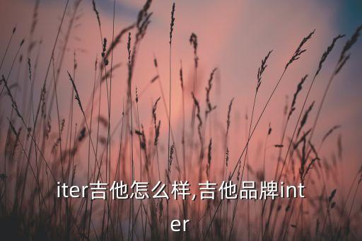 iter吉他怎么样,吉他品牌inter