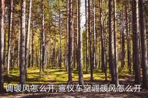 调暖风怎么开,宣仪车空调暖风怎么开