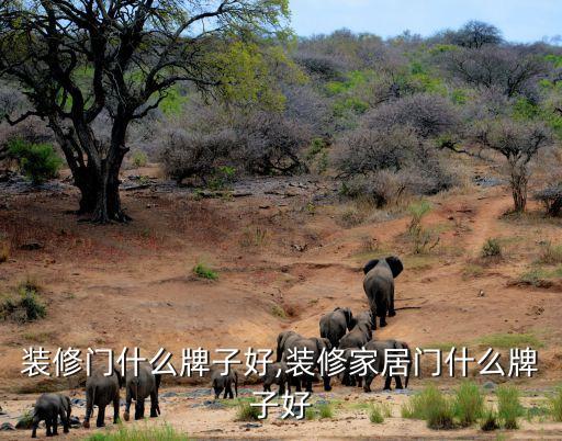 装修门什么牌子好,装修家居门什么牌子好