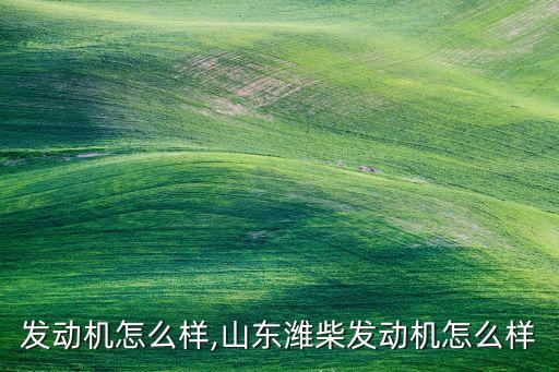 发动机怎么样,山东潍柴发动机怎么样